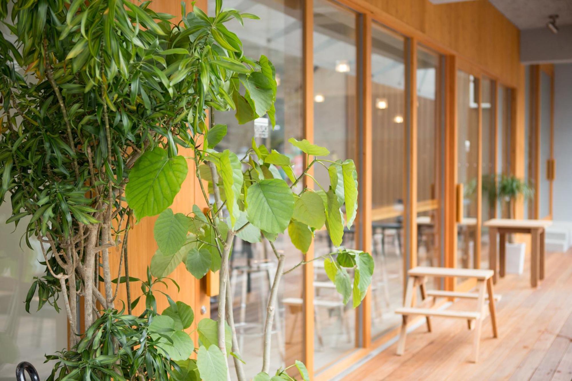 Tsuchiya Kinosaki Onsen Hotel Toyooka  Ngoại thất bức ảnh